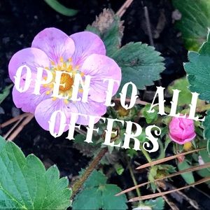 Open to all offers! ✨💕✨